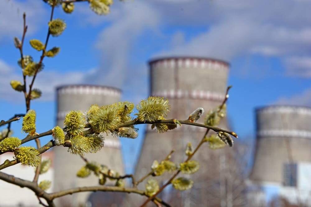 Новий ринок електроенергії повинен стати конкурентним для всіх без винятку - Український ядерний форум